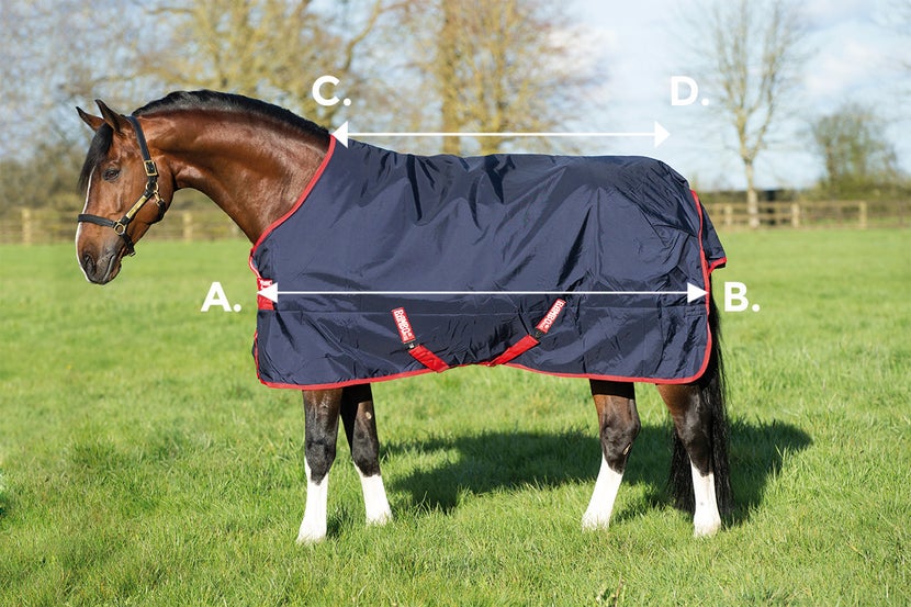 Diagram guide with lettered arrow references showing how to measure for correct Horseware blanket sizing